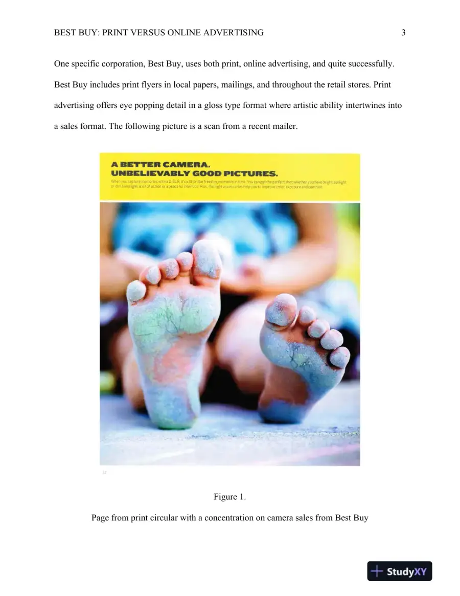 COMM 470 Best Buy: Print versus Online Advertising, page 4