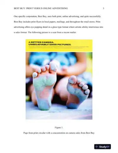 COMM 470 Best Buy: Print versus Online Advertising - Page 4 preview image