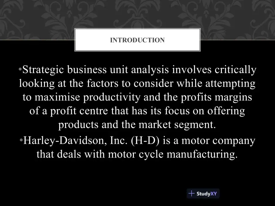 A Harvey-Davidson Feasibility Study - Strategic Business Unit Analysis, page 5