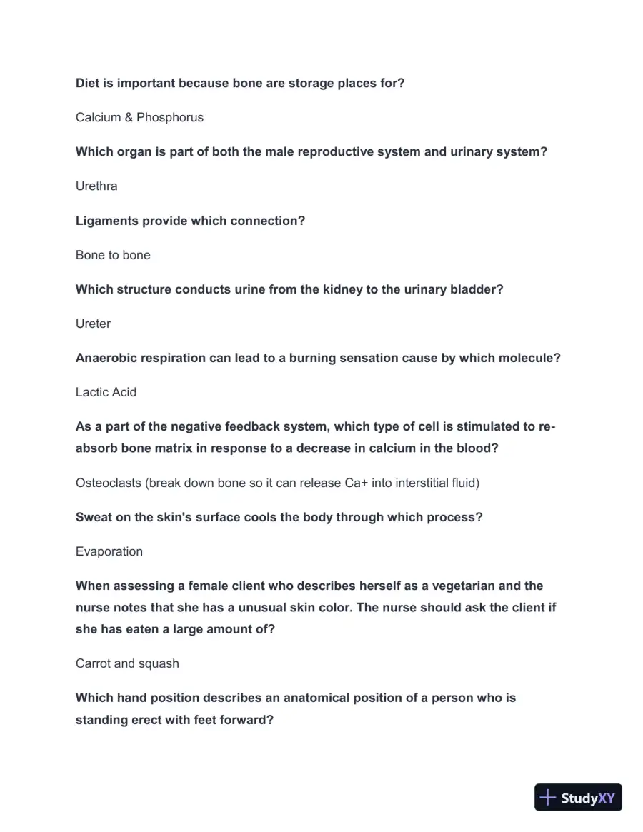 2024-2025 HESI A2 Anatomy and Physiology V1/V2 Practice Exam with Answers (134 Solved Questions), page 3