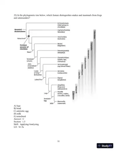 Test Bank for Genetic Analysis: An Integrated Approach, 3rd Edition - Page 12 preview image