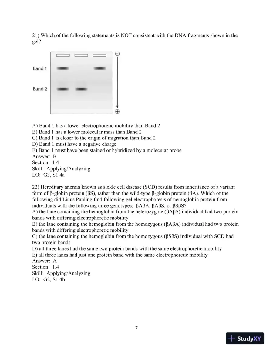 Test Bank for Genetic Analysis: An Integrated Approach, 3rd Edition, page 8