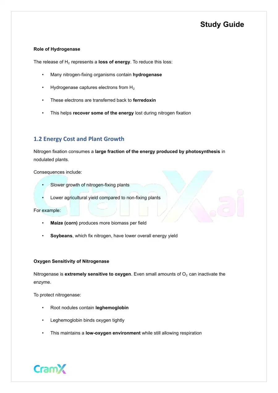 Biochemistry-II - Nitrogen Fixation, Assimilation, Elimination, page 3