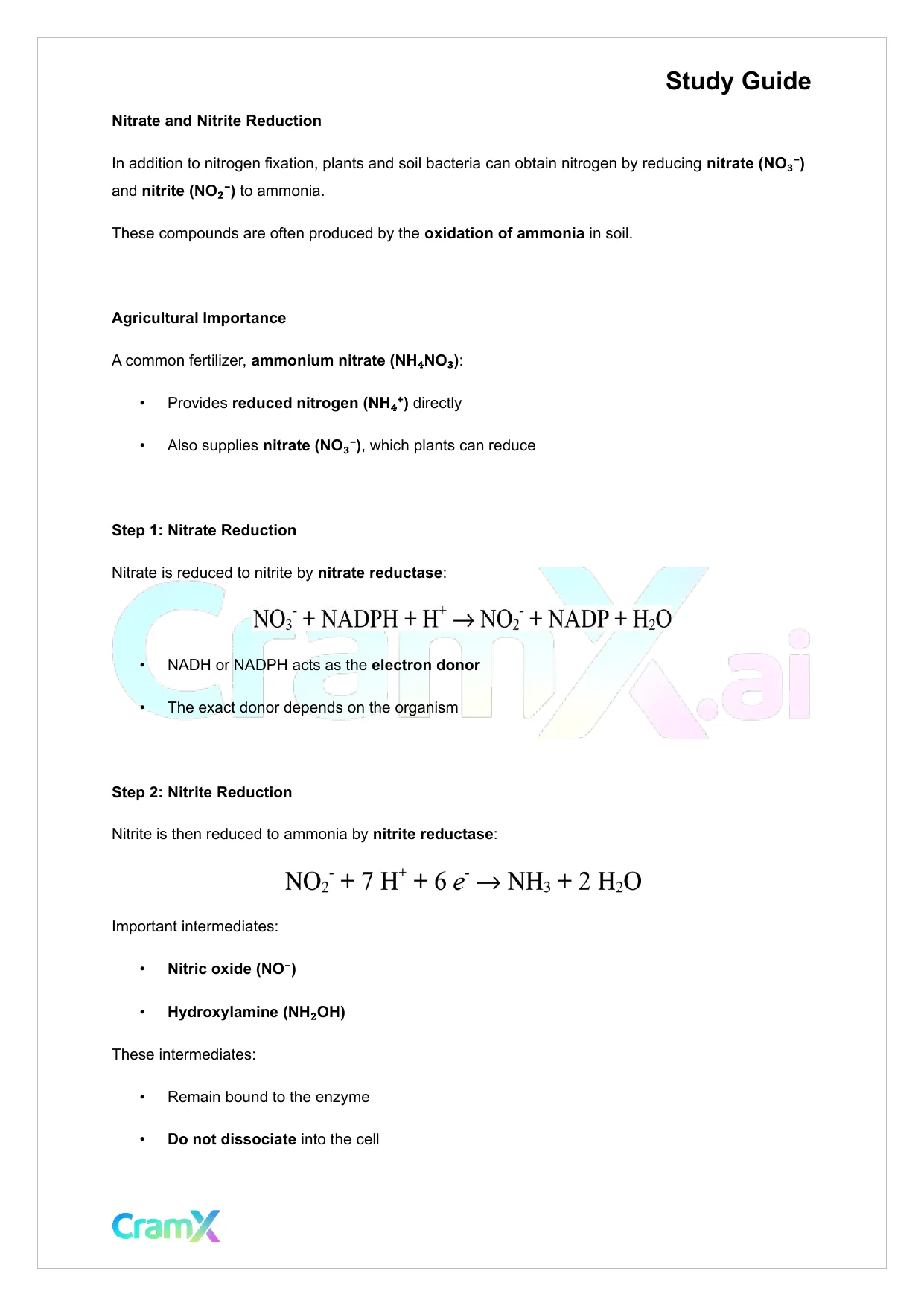 Biochemistry-II - Nitrogen Fixation, Assimilation, Elimination - Page 4 preview image
