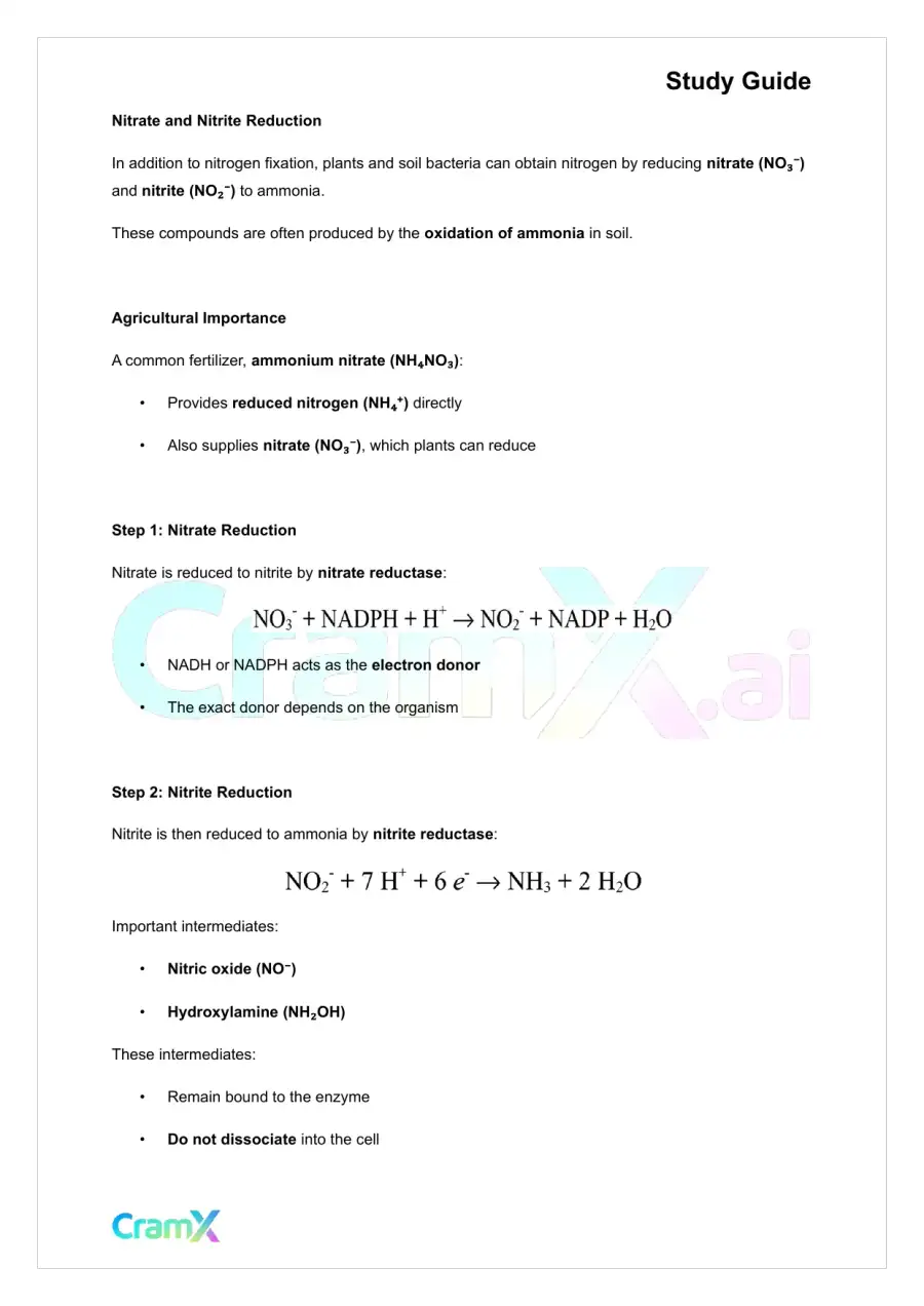 Biochemistry-II - Nitrogen Fixation, Assimilation, Elimination, page 4
