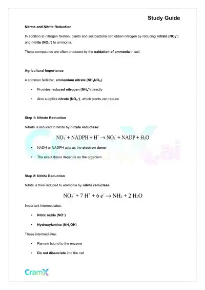 Biochemistry-II - Nitrogen Fixation, Assimilation, Elimination - Page 4 preview image