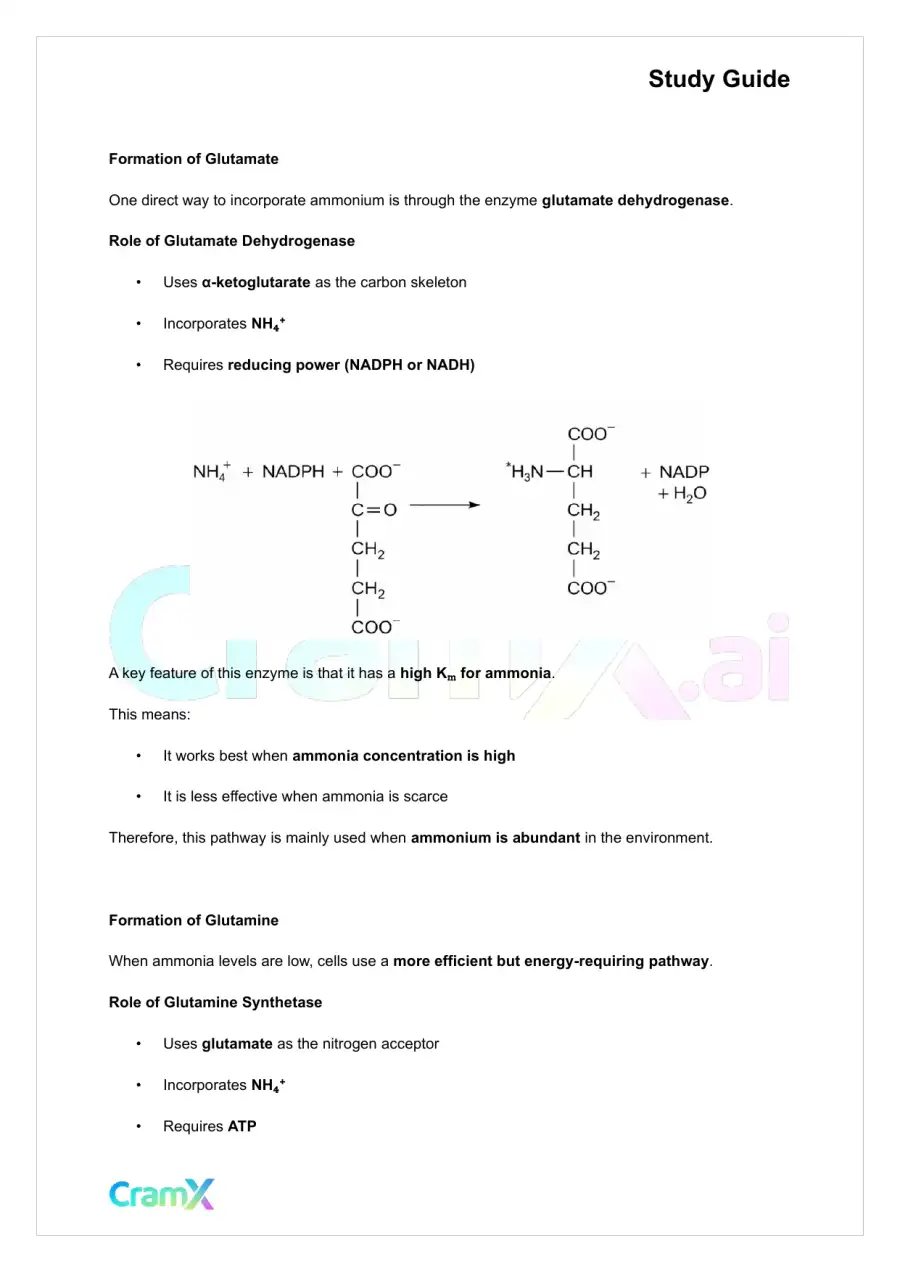 Biochemistry-II - Nitrogen Fixation, Assimilation, Elimination, page 6