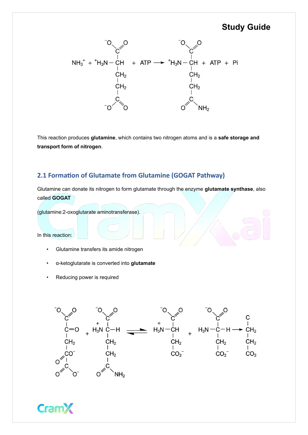 Biochemistry-II - Nitrogen Fixation, Assimilation, Elimination - Page 7 preview image