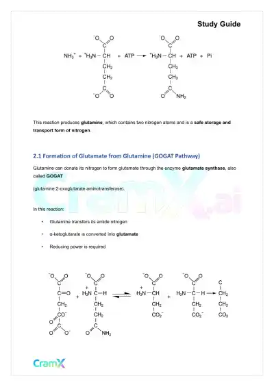 Biochemistry-II - Nitrogen Fixation, Assimilation, Elimination - Page 7 preview image