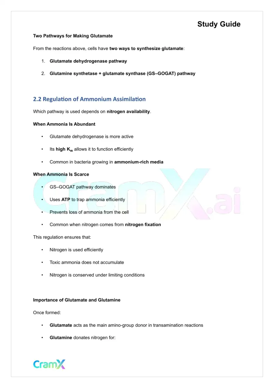 Biochemistry-II - Nitrogen Fixation, Assimilation, Elimination, page 8