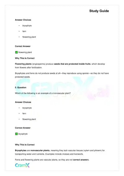 Biology - Plants Diversity and Reproduction - Page 3 preview image