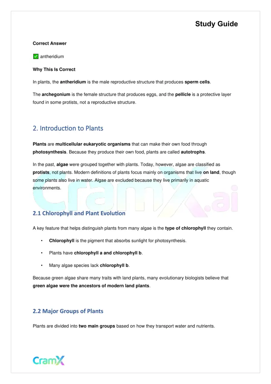 Biology - Plants Diversity and Reproduction, page 6