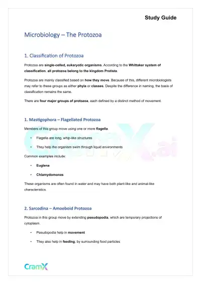 Microbiology - The Protozoa - Page 1 preview image