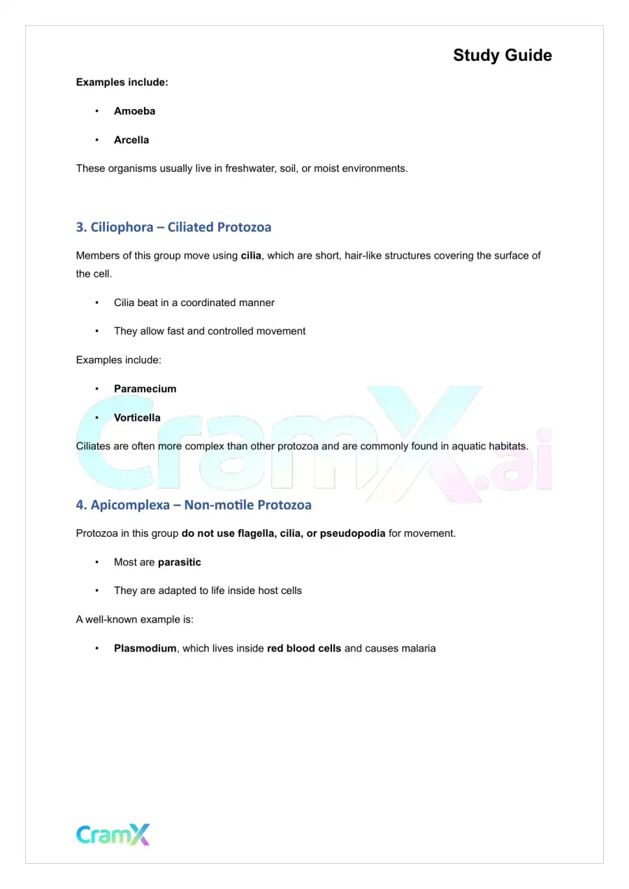Microbiology - The Protozoa, page 2
