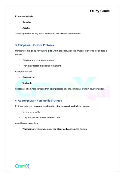 Microbiology - The Protozoa - Page 2 preview image